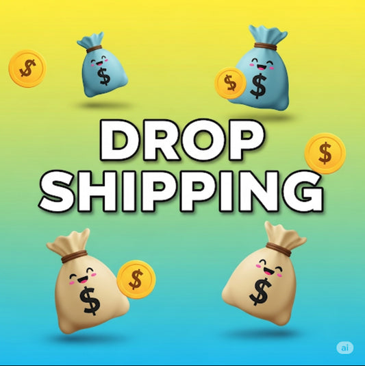 DROP SHIPPING PDF